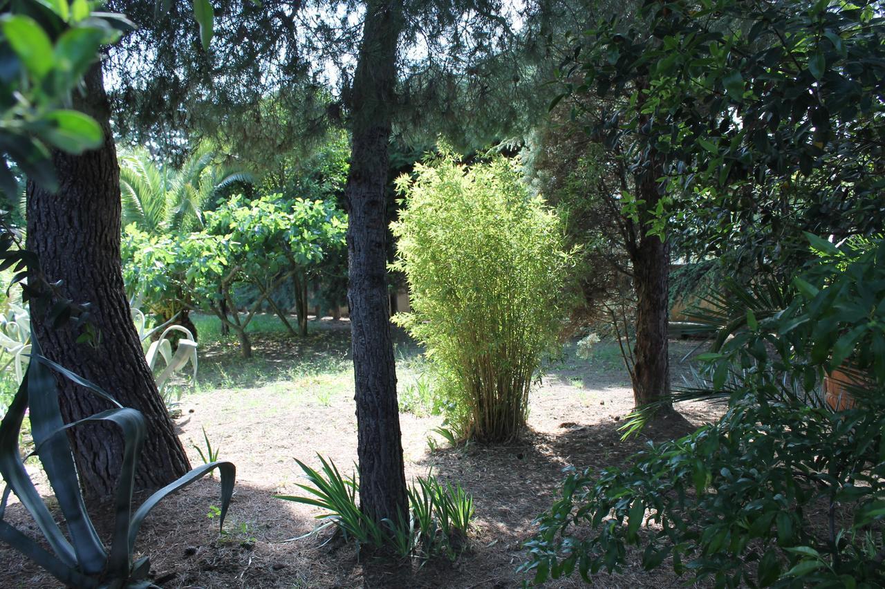 Sea Garden Rooms Termoli Luaran gambar